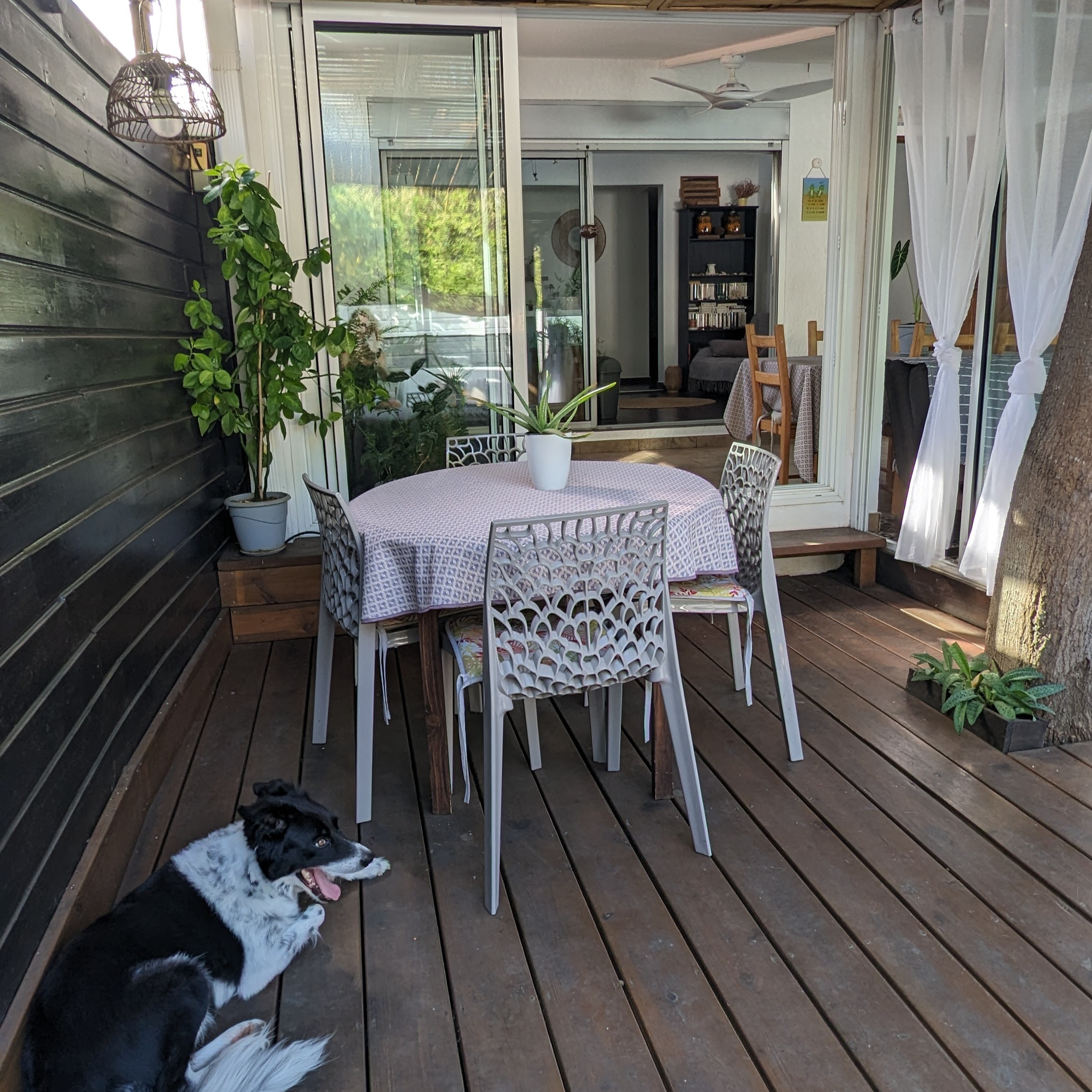 terrasse 1 La Cas'Aline_terrasse